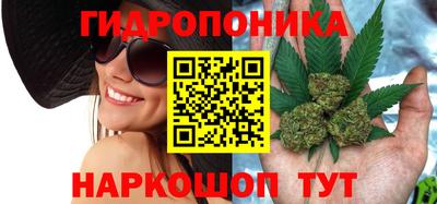 амф Краснодар