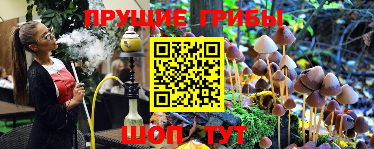 Галлюциногенные грибы MAGIC MUSHROOMS Рославль